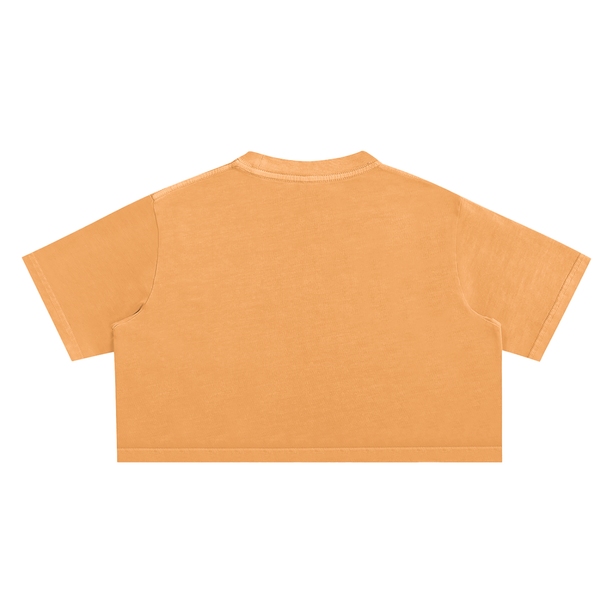 "Monarch" cloudwash ultra crop tee by ArtistNatalie, back view